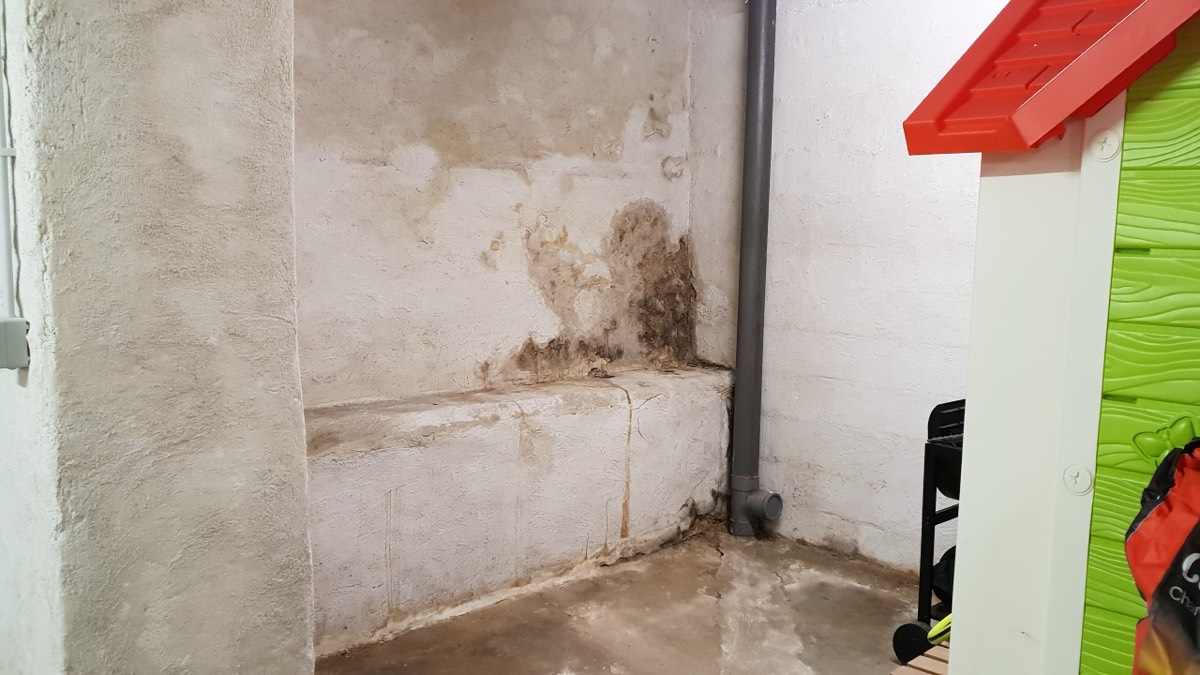 Infiltrations d'eau - Expertise humidité à Agen